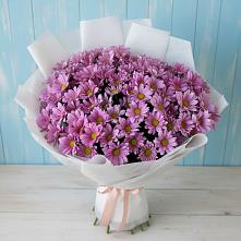 Букет цветов из:  Хризантемы в Совхозном Краснодарский край
