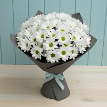 Букет цветов из:  Хризантемы в Совхозном Краснодарский край