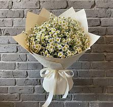 Букет цветов из:  Ромашки #REPLACE_PRED# Совхозном Краснодарский край