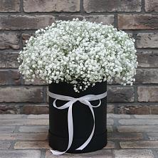 Цветочная композиция из Гипсофила в шляпной коробке в Совхозном Краснодарский край