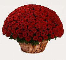 Премиум букет из: Розы в Совхозном Краснодарский край